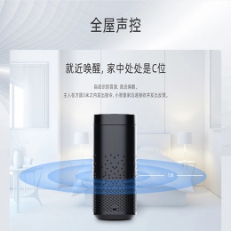 智能音箱網關 TWG-WZ01